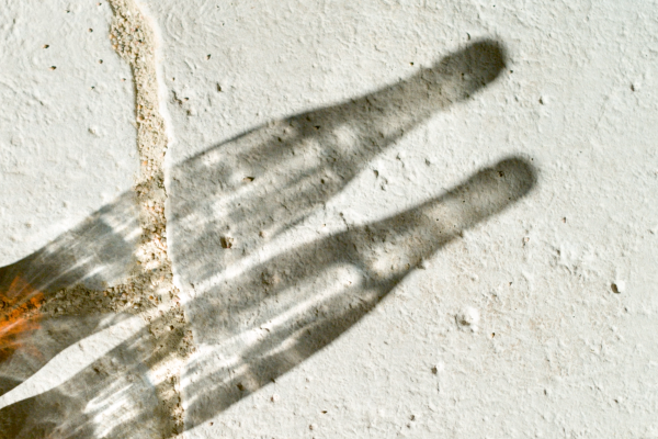 Coca-Cola - Shadows Shades of two bottles of Coca-Cola