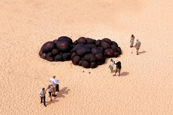 The Spot — Glue Society and The Beautiful and Useful Studio LArge fabric art installation on a beach that depicts a melanoma. People are scattered around the exhibition.