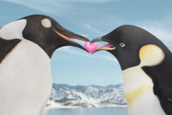 A Quest For Love — Cadbury Silk Two penguins with a pink heart between their beaks