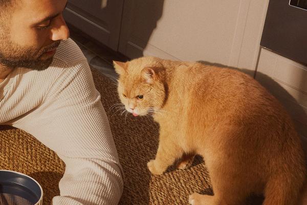 Time to Take What's Theirs — Al-Futtaim IKEA A man and his cat